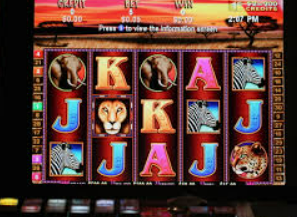 开云足球免费版