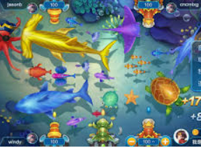 开云足球正式版