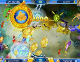 开云足球电脑免费版